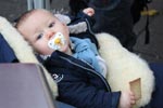 IMG_0547_klein