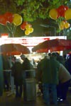 img_16112009350_klein